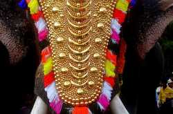 The ceremonial blunder..!!