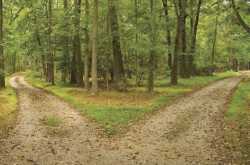 The choice of a perspective