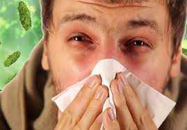 The Common Questions About Common Cold: Common Cold FAQs