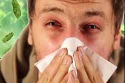 The common questions about common cold: Common cold FAQs