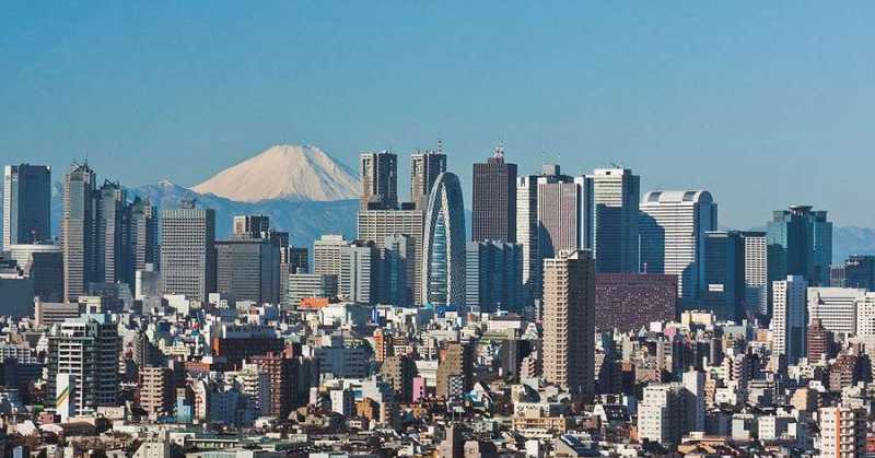 The Creation Of  Concrete Jungles | Human