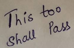 The curious case of ‘shelldom’