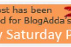 The curse of the stereotype - The North Indian Vs South Indian Debate