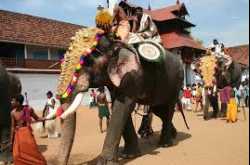 The different faces of south India - Hotels In South