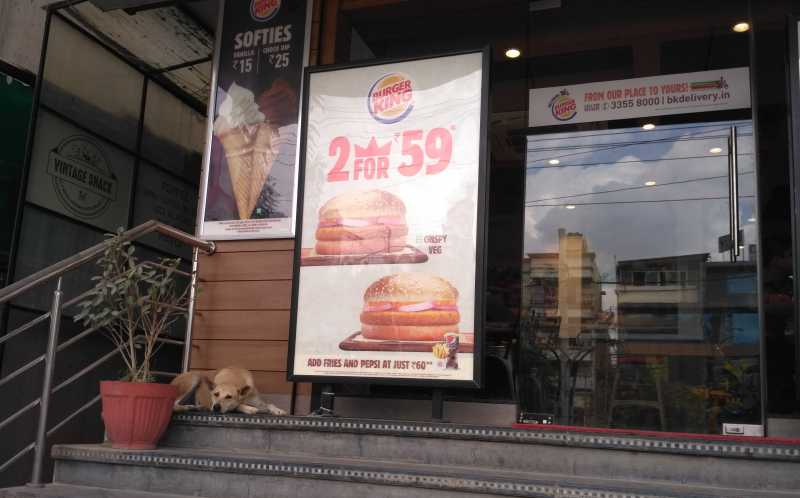 The Dog On The Doormat