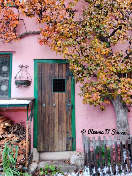 The Door Of My Dreams - The Write World