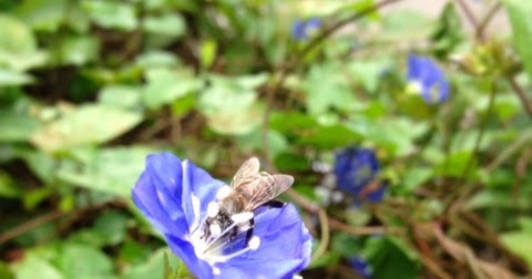 The Eyes Of The World..