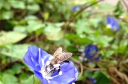 The eyes of the world..