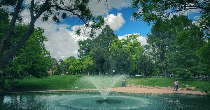 The Famous Duck Pond Of New Mexico University In Albuquerque