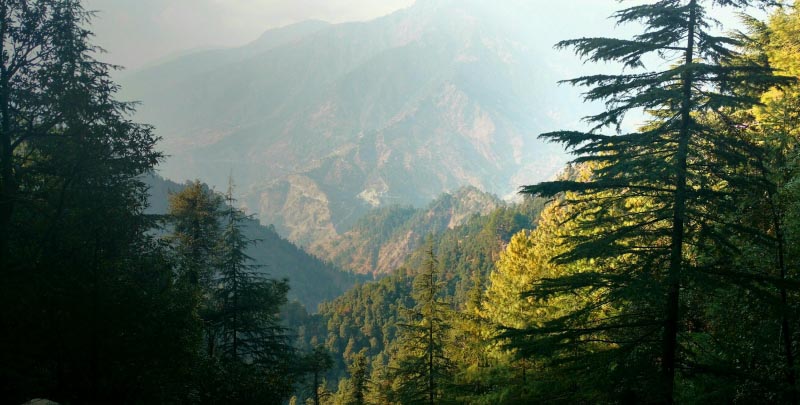 The Green Hills Laugh In McLeodganj