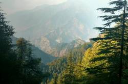 The green hills laugh in McLeodganj
