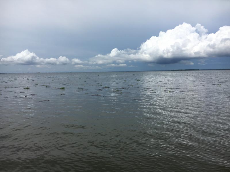 The Half Day Spent At The Cruise In Kerala Backwaters. - MyEssenceOfLife