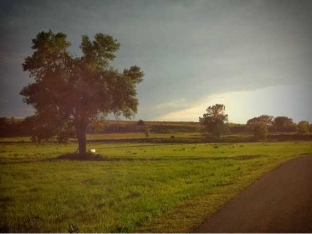 The Invisible Comrade