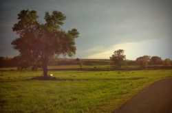 The invisible comrade