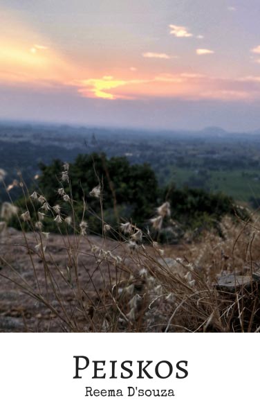 The Joy Of Being A Published Author - The Write World