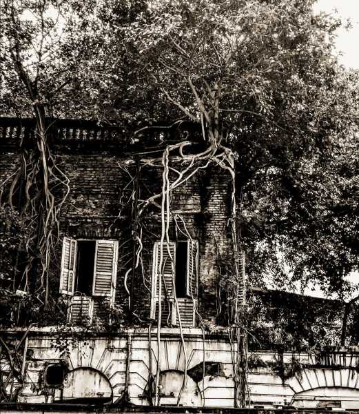 The Lonely House - Short Story (5 Mins Read)