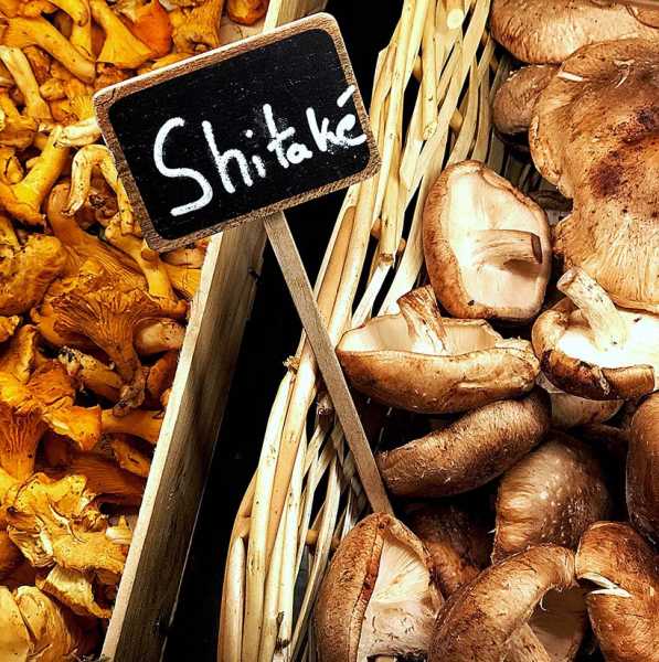 The Magic Of Mushrooms: Skincare