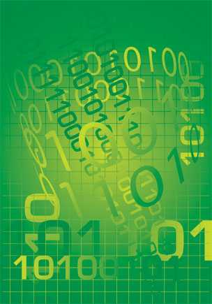 The Malfunction Of E-Government In Developing Countries - Computer Science Article