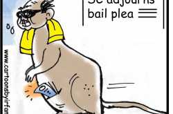 The modern KANGAROO!