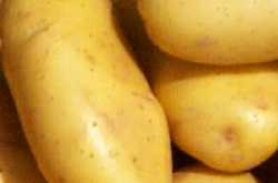 The most expensive potatoes in the world