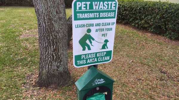 The Most Surprising Things About America - Part III (What I Really Liked)