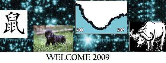 The New Year: 2009
