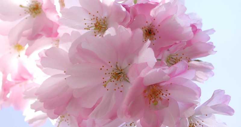 The Power Of Positive Psychology