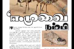 The recent spate of scam claims in Tamil Nadu