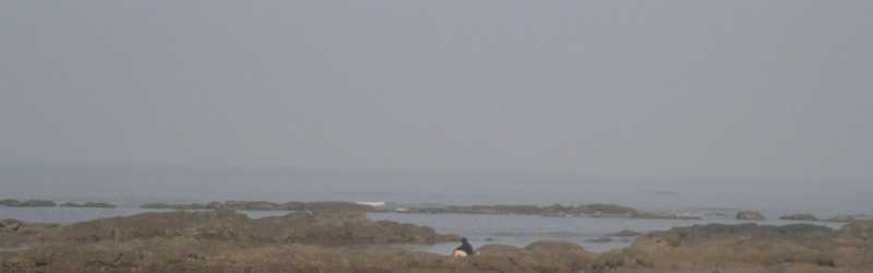 The Sea Side Stories-from Alibaug To Puri Through Bombay