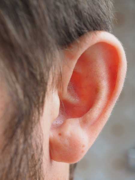 The Shocking Truth About Hearing Loss And Its Effects In Children | Provoqd