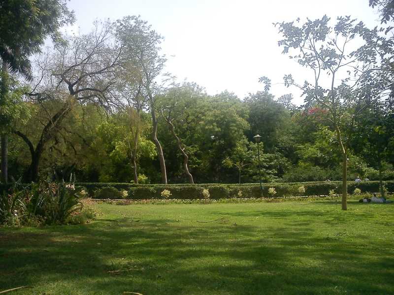 The Sound Of Silence In Lodi Gardens