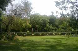 The sound of silence in Lodi Gardens