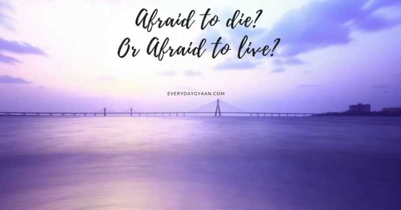 The Story Of A Folly : Girl