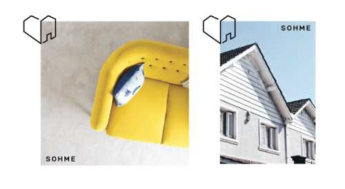 The Strawberry Head Â© - Two Other Formal Explorations For Sohme -...