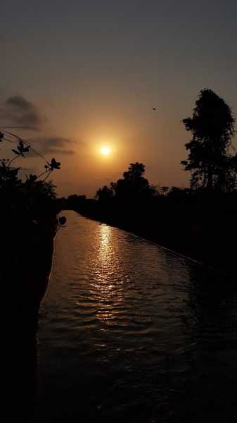 The Summer Sun Is Out.