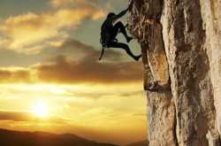 The survival of the fittest