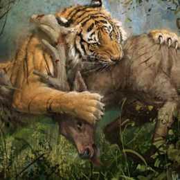 The Tiger And The Prey