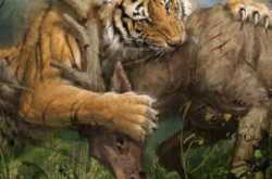 The tiger and the prey