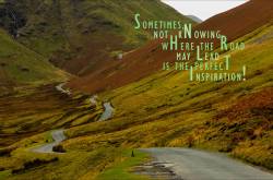 The truth about travelers!