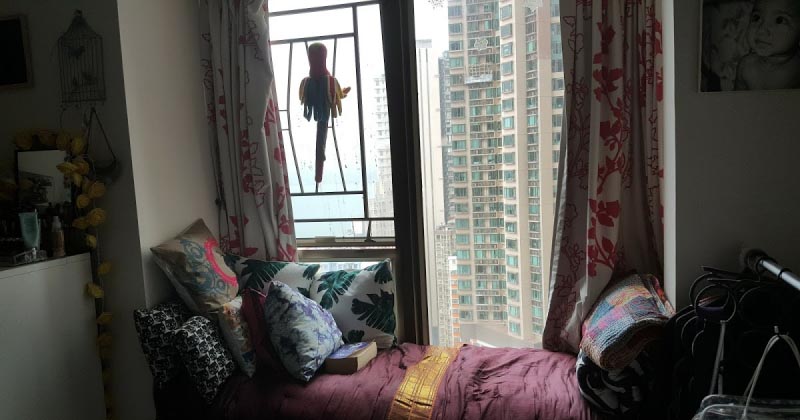 The View From My Window