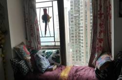 the view from my window