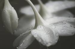 The world wants me cry! - A Poem - Glitter & Gorgeous!!