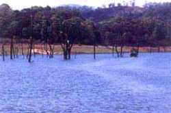Thekkady