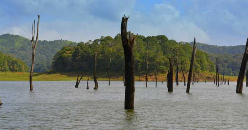 Thekkady - Idukki District,Kerala
