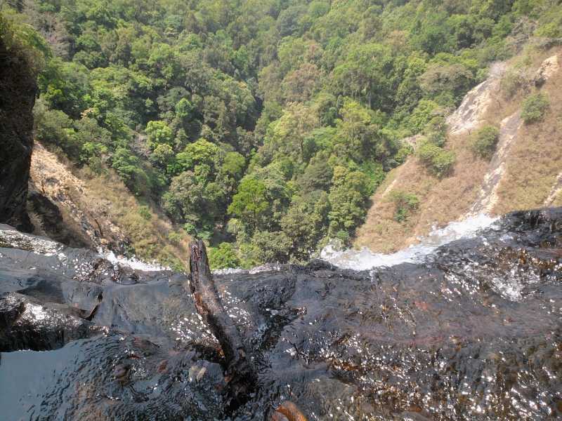 Then Again, 2011 Wasn