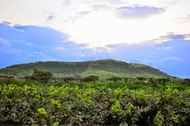 Then I Glanced At Upon That Hill