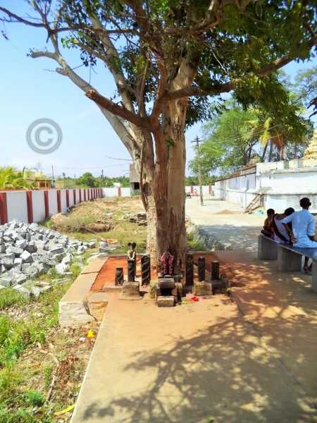 Theneeswarar Temple - Photos #1