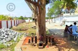 theneeswarar temple - photos #1