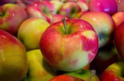 There are 7000 different type of apples in the world