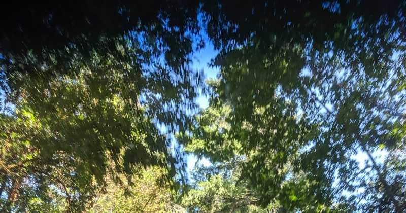 There Are Good Days And Then There Are Bad Days….